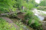 On retraverse le pont, il y a quelques années, l'Aubonne était beaucoup plus à droite