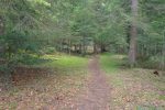 Longue traversée en forêt