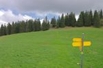 Nous partons tout droit, à gauche en montant, vers le Chasseron