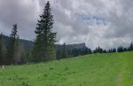 Désormais notre chemin est sur la crête, avec Le Chasseron en vue.