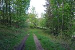 Après une descente en forêt, on arrives à Les Rasses