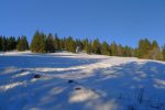 La clairière de la cabane du Chalet Le Rocher