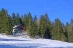 Zoom sur la cabane