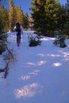 Courageux les skieurs de randonnée !