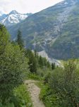 Le chemin se resserre et rentre dans la forêt