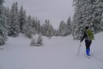 Après un peu d'errance, un sapin pouvant en cacher un autre, nous trouvons notre combe tant désirée