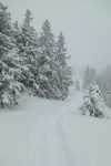 Je fais juste un détour : souvenir d'un igloo