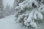 Belle épaisseur de neige