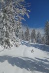Enfin un grand soleil