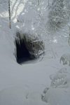 La glacière du Pré de Saint-Livres