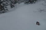 Chemin d'été