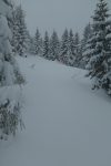 La monte pour les Monts de Bière Devant