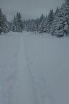 Puis en route pour le Col du Marchairuz