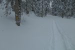 Signe du chemin d'été