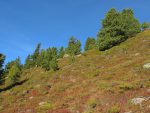 Vue arrière sur le hors piste