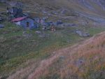 Les Areuses 2107m, je me dépêche de descendre vers Cordonna tant que j'y vois encore un peu