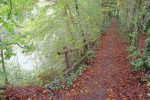 Chemin tout doux