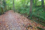 Le canal de La Versoix