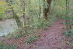 En forêt dans le Bois de Machefer