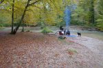 Joli coin à picnic. Vue arrière