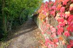 Couleurs d'automne