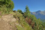 Sentier agréable au début