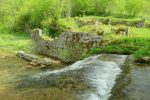 Moulin Jeunet