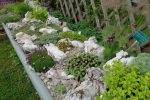 Jardin botanique