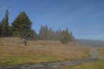 Départ par le chemin d'été