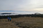 Stratus