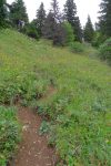 Chemin pentu et gras