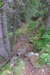 Court passage en forêt