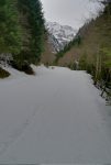 Je rejoins la piste de ski, route en été.