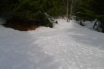 Forêt de Barme, je quitte la route pour le sentier à droite