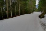 Pas assez de neige, j'évite le sentier de la montée et reste sur la piste.