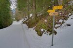 Au panneau, en face à gauche, je descendrai par le chemin d'été.