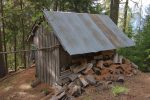 Peu après le Pt1575 de la Forêt des Champs, cet abri