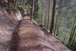 Avant le Torrent des Croix, fin du bisse