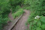 Descente en forêt