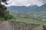 Vue sur Charrat et la plaine du Rhône.