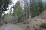 Par une route forestière on rejoint le bisse