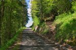 On quitte la route pour ce chemin forestier à droite