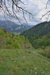 Notre chemin descend fort