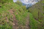 Puis on arrive sur une pente plus douce, vers 1300m