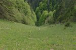 Je choissis donc le couloir du bas de Montiau