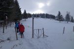 Montée dans le pâturage