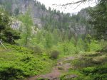 Le secteur est plein de myrtilles, mais ça n'est pas encore la saison