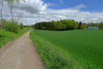 Je sors de Morrens et vais longer la forêt jusqu'au bâtiment gris