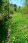 Chemin agréable
