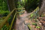 Je poursuis le chemin